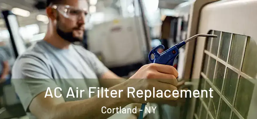  AC Air Filter Replacement Cortland - NY