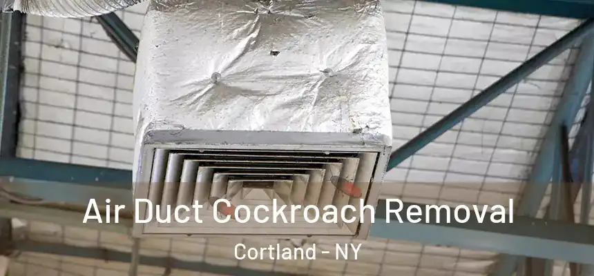  Air Duct Cockroach Removal Cortland - NY