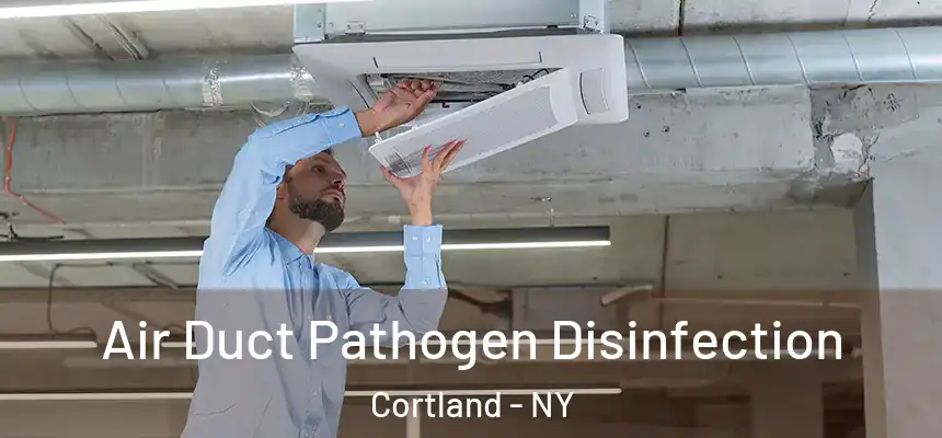 Air Duct Pathogen Disinfection Cortland - NY