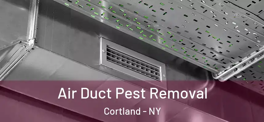  Air Duct Pest Removal Cortland - NY