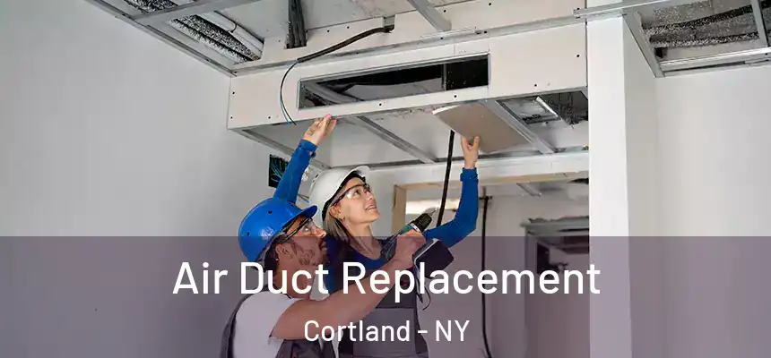  Air Duct Replacement Cortland - NY