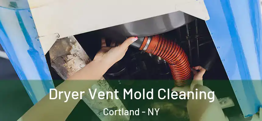  Dryer Vent Mold Cleaning Cortland - NY