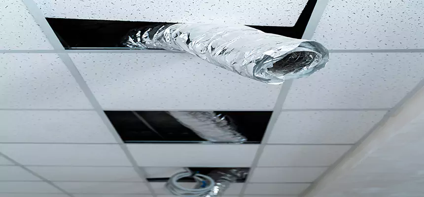 Our Air Duct Pet Hair Removal Services in Cortland, NY