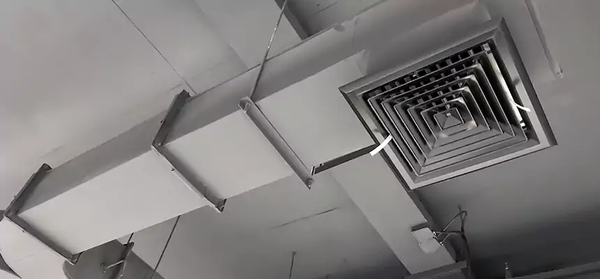 Restorative Allergy Relief Vent Cleaning – Coil, Blower & Housing Detail in Cortland