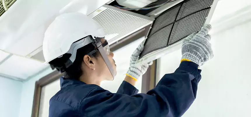 Our Mold & Mildew Removal from Air Ducts Services in Cortland, NY