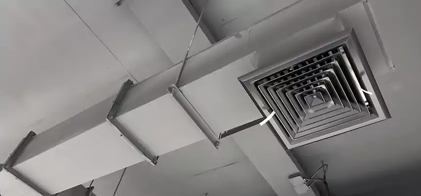 Our Rodent Droppings In Vents Services in Cortland, NY