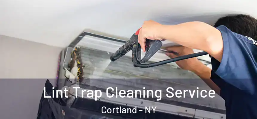  Lint Trap Cleaning Service Cortland - NY