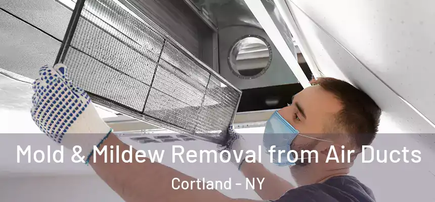  Mold & Mildew Removal from Air Ducts Cortland - NY