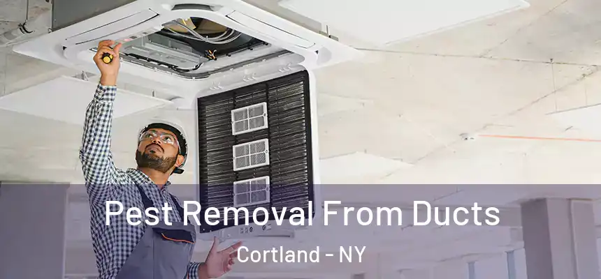  Pest Removal From Ducts Cortland - NY