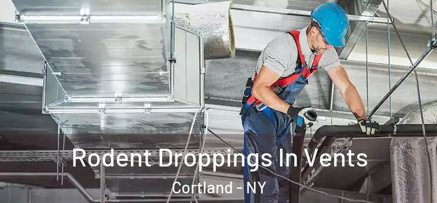  Rodent Droppings In Vents Cortland - NY