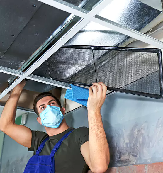 Professional Air Duct Pollen Cleaning in Cortland, NY