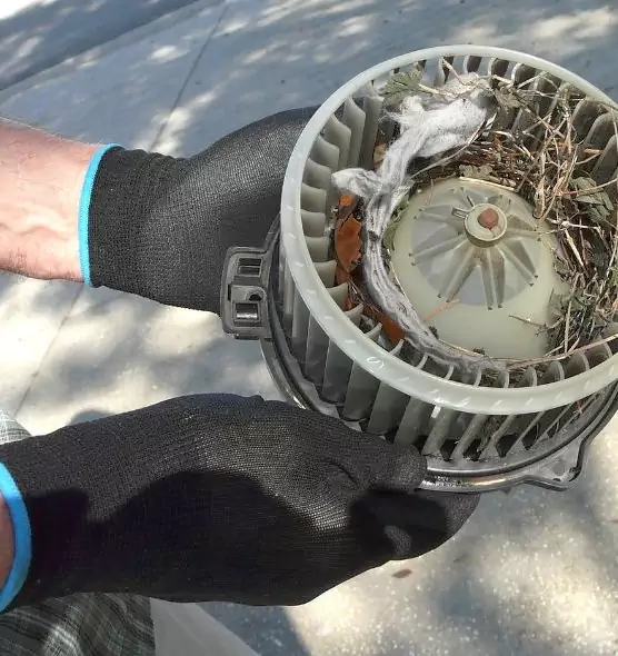 About Air Duct Rat Removal in Cortland, NY