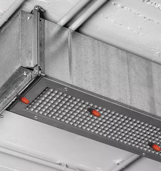 Affordable Insect Removal from Air Ducts in Cortland, NY