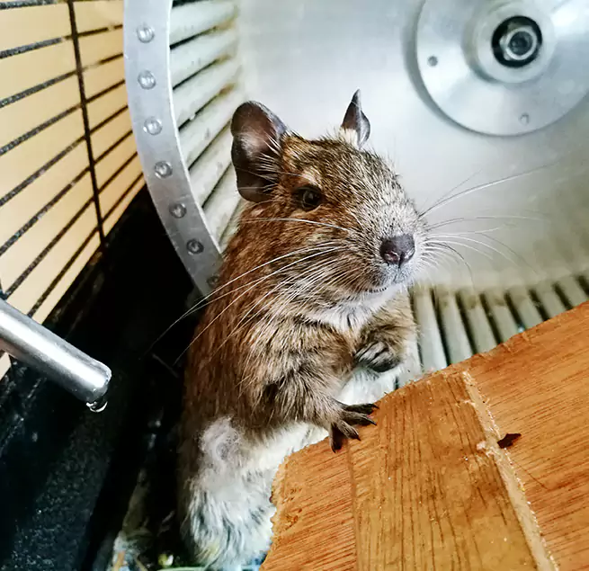 Why Homeowners & Businesses Trust Us Cortland, NY