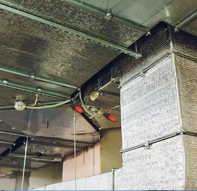 Why Homeowners & Businesses Trust Us Cortland, NY?