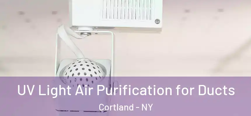  UV Light Air Purification for Ducts Cortland - NY